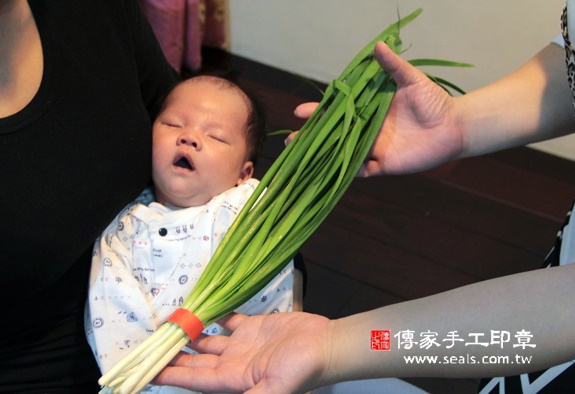 楊寶寶(新北汐止區到府嬰兒寶寶滿月剃頭理髮、免費到府嬰兒剃胎毛儀式吉祥話)。到府剃頭剃胎毛主持、專業拍照、DVD光碟、證書。★購買「臍帶章、肚臍章、胎毛筆刷印章」贈送：剃頭、收涎、抓周，三選一。2015.11.20 照片10
